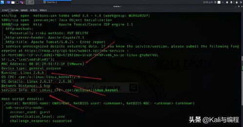 白帽黑客的偵察利器 Nmap實戰(zhàn)演示探測操作系統(tǒng)與系統(tǒng)服務(wù)